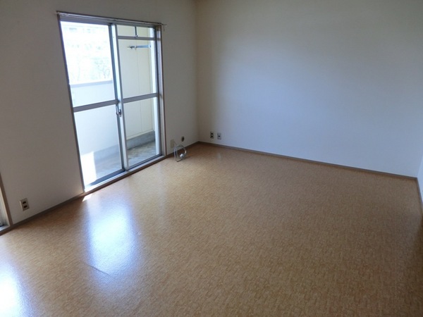 Living and room. Western style room