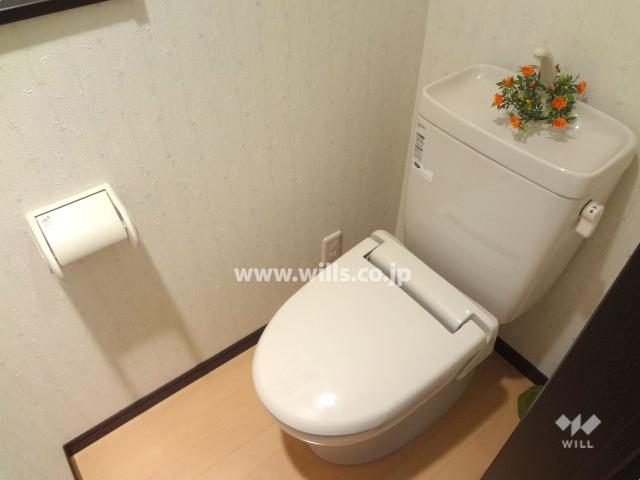 Toilet. First floor toilet