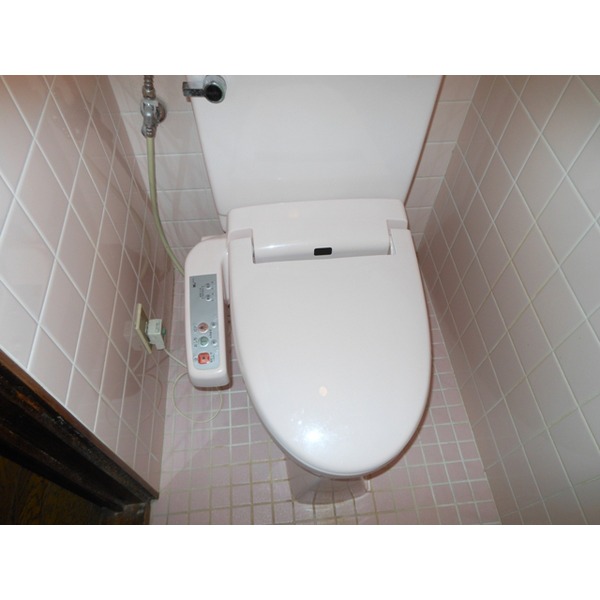 Toilet. Cleaning toilet seat