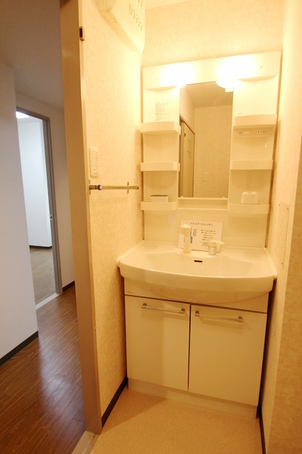 Washroom. Shampoo dresser
