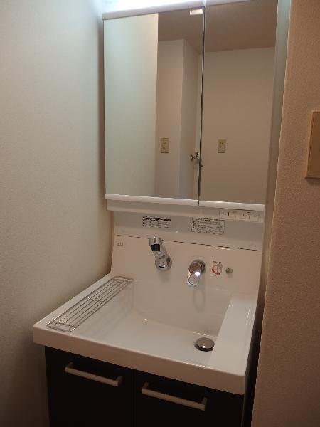 Washroom. Bathroom vanity