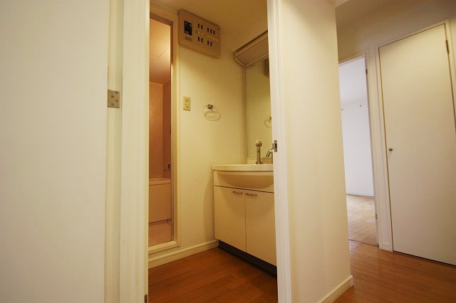 Washroom. Washbasin with large mirror