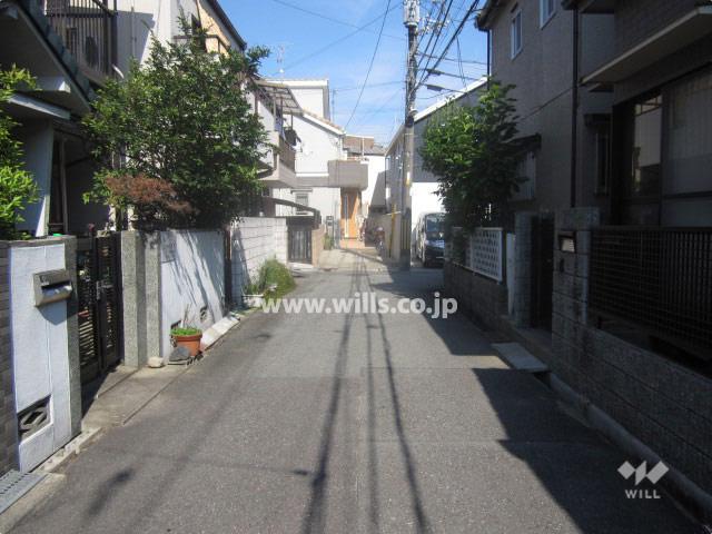 Local photos, including front road. Property of the north front of the road (from the west)