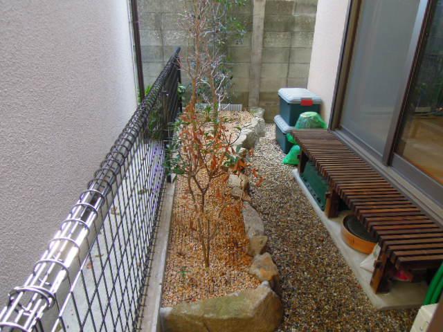 Garden. Garden of the property