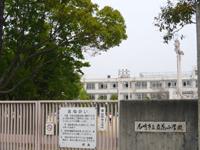 Primary school. 560m until Tachibana elementary school