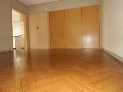Other room space. Western style room