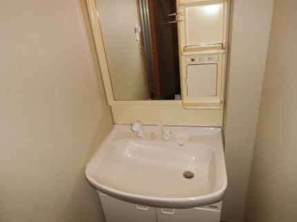 Washroom. Shampoo dresser