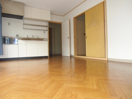 Living and room. LDK