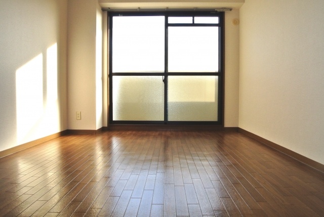 Living and room. Sunny room on the south-facing