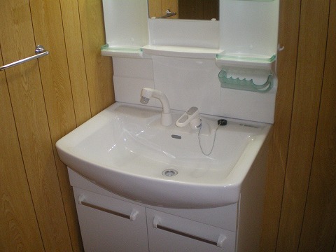 Living and room. Shampoo dresser
