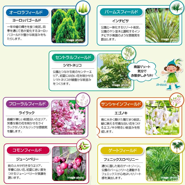 Other. For example, lilac and Fraxinus griffithii, Europe Gold, etc.. Adopt a distinctive symbol tree in each of the seven zones.