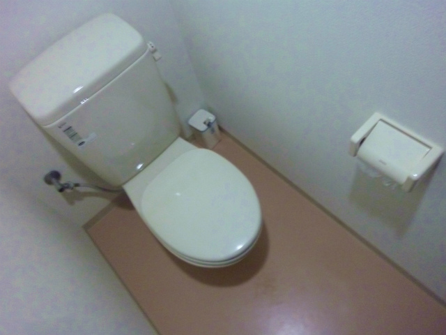 Toilet. Co-toilet is clean