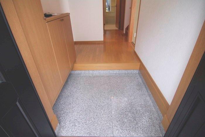 Entrance. The entrance is also a breadth of the room.