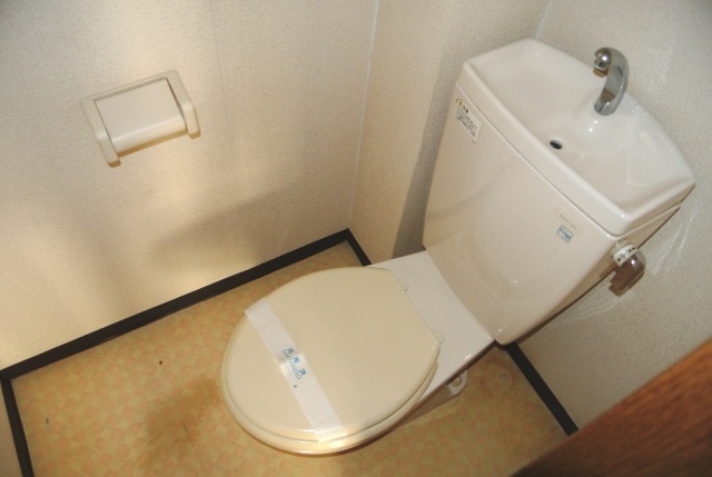 Toilet. It is clean and care already.