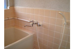 Bath. Shower
