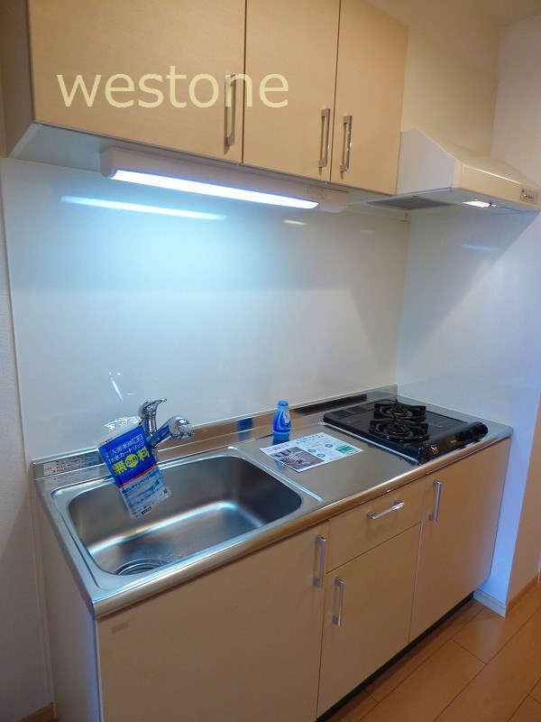Kitchen. Gas stove with kitchen
