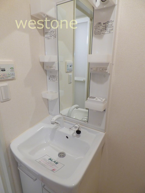 Washroom. Vanity with shower