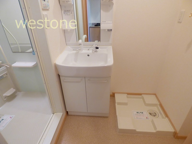Washroom. Basin undressing space