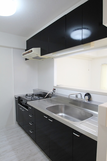 Kitchen. Face-to-face system Kitchen