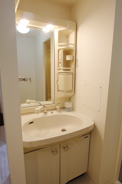 Washroom. Shampoo dresser