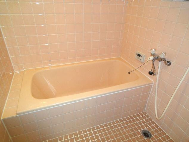 Bathroom. Guests preview is a vacant house at any time