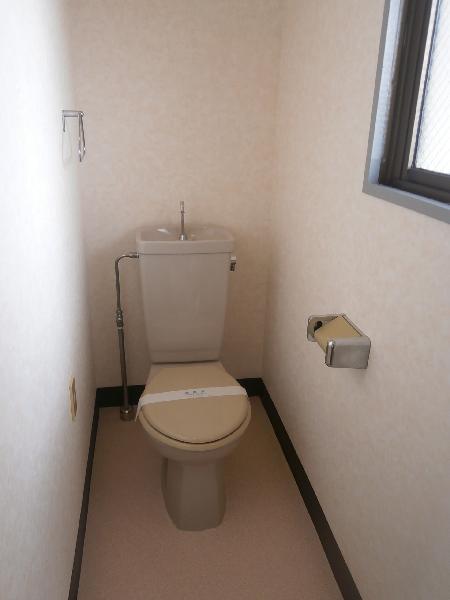 Living and room. Toilet