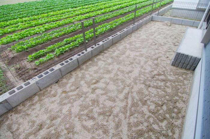 Garden. 2 Gochiniwa It has become a large garden house!  By all means please see in the field. 