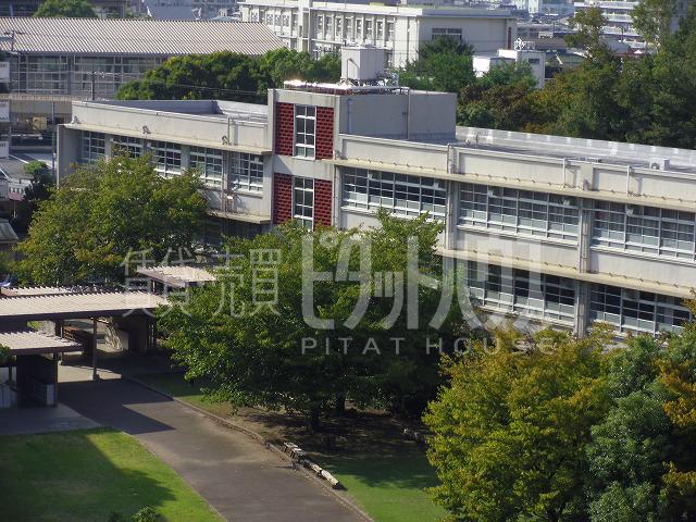 Junior high school. 1142m until the Amagasaki Municipal Wakakusa junior high school