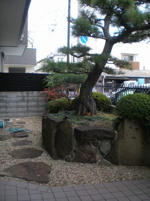 Garden. Local (12 May 2013) Shooting