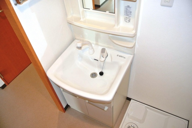 Washroom. Happy shampoo dresser