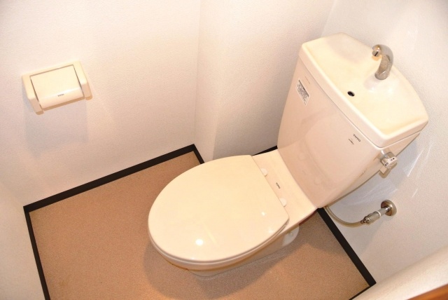 Toilet. Relaxing healing space.