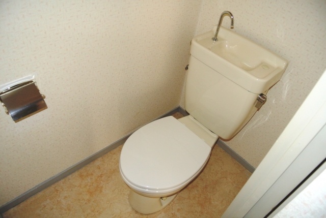 Toilet. Clean toilet cleanliness overflows
