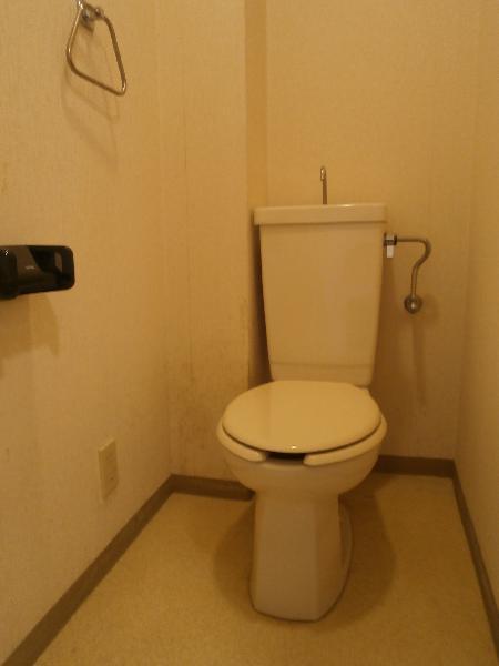 Toilet. Toilet