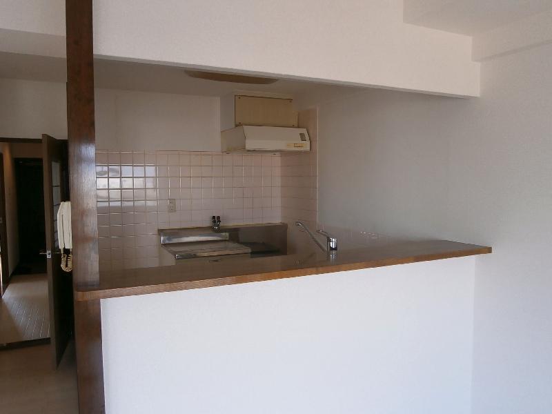 Kitchen. Face-to-face kitchen