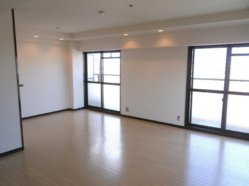 Living and room. Living (2)
