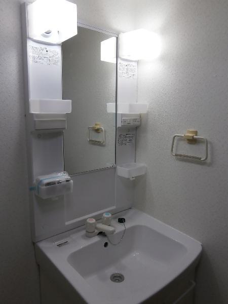 Washroom. Bathroom vanity