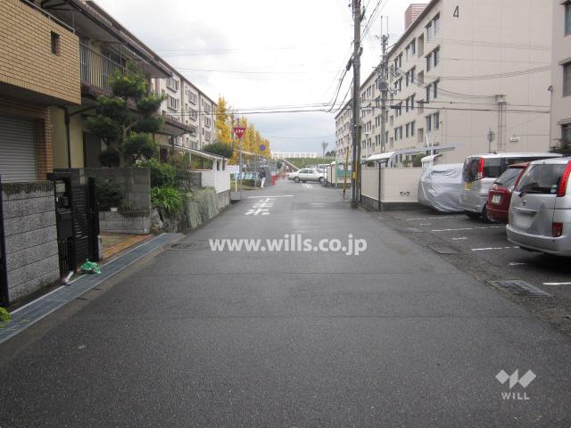 Local photos, including front road. Property of the southwest side of the front road (from the northwest side)
