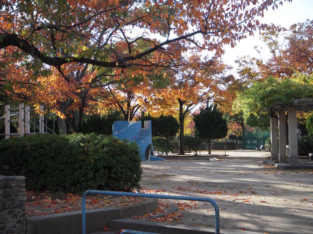 Other. Neighborhood park