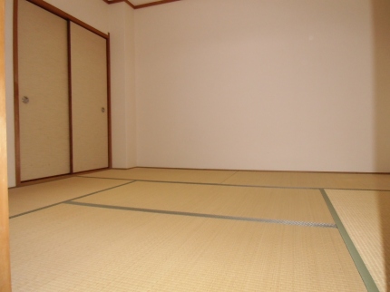 Living and room. Japanese style room