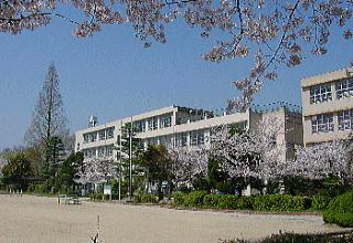 Primary school. 469m to codify elementary school