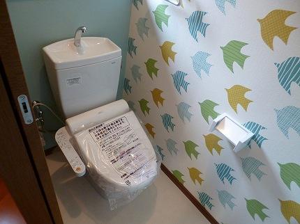 Toilet. You can choose with your favorite color from a single wallpaper