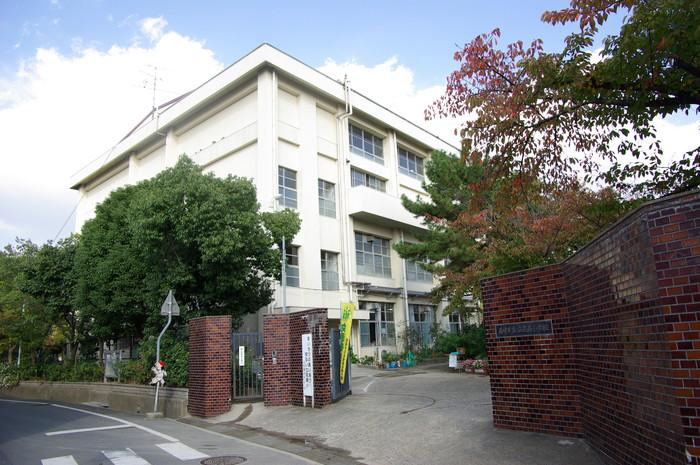 Primary school. 253m until the Amagasaki Municipal Minami Tachibana Elementary School