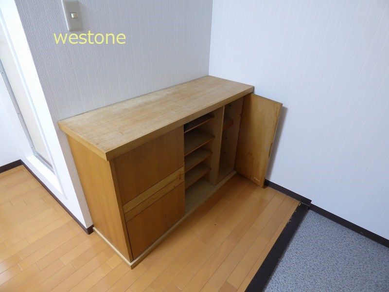 Entrance. Shoe box.