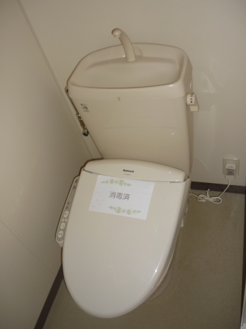 Toilet. Cleaning toilet seat