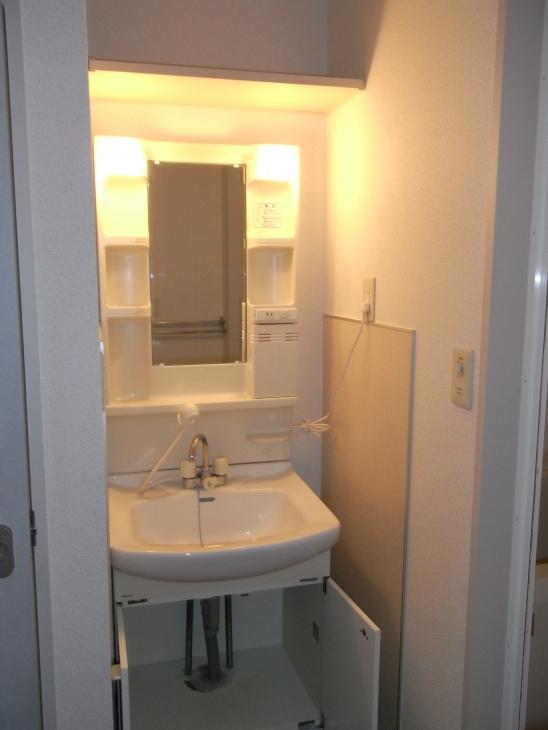 Washroom. Bathroom Vanity