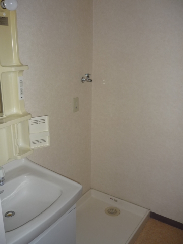 Washroom. Washing machine Storage