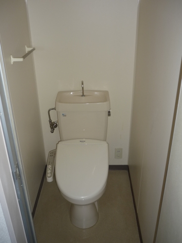 Toilet. Cleaning toilet seat