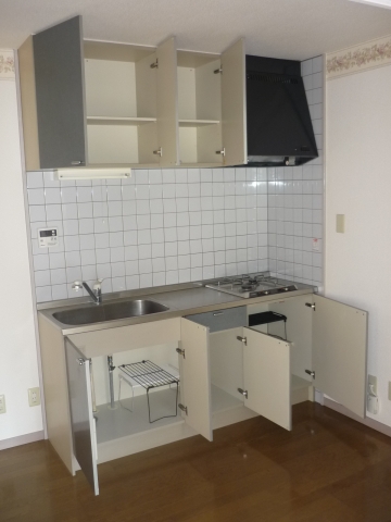 Kitchen. Two-burner stove