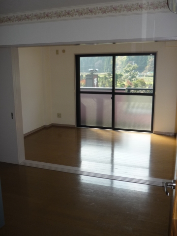 Living and room. Kitchen side Western-style