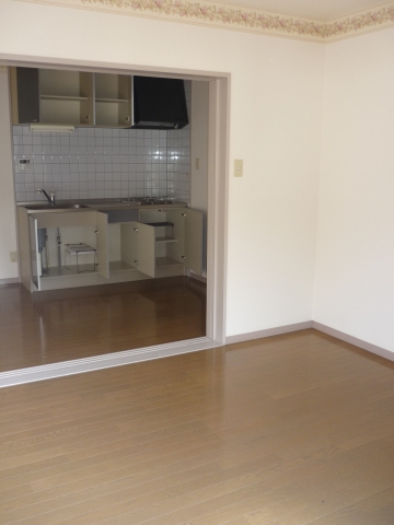 Living and room. Kitchen side Western-style